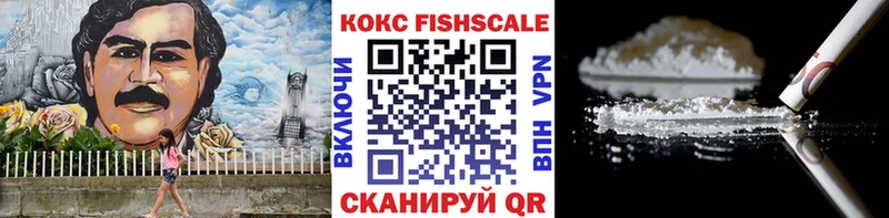 наркота  Губкин  Кокаин Fish Scale 