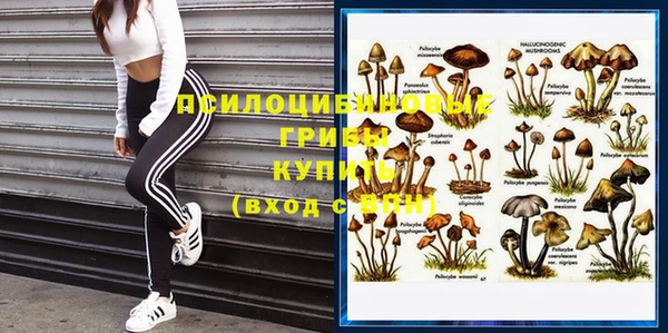 а пвп мука Верхний Тагил