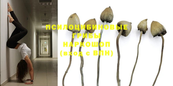 дмт Верея