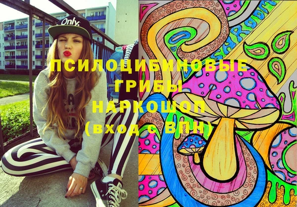 PSILOCYBIN Верхнеуральск