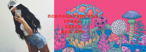 а пвп мука Верхний Тагил