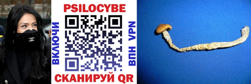 Псилоцибиновые грибы мицелий  Губкин 